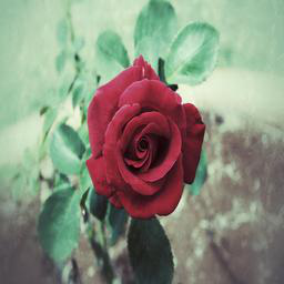 ../../_images/3d83a111a63b5b12f6107b7e1bc393134b2395a215036e111ea33190bbdfc46a.png